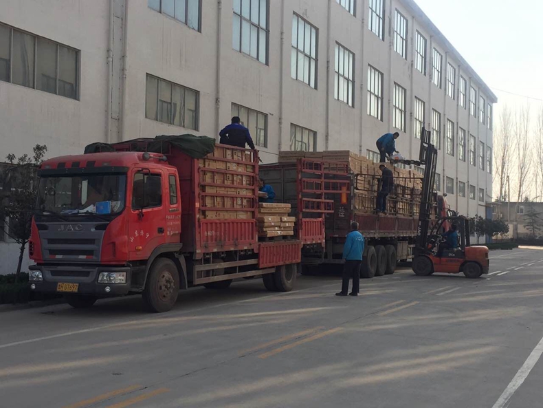 玉米视频在线观看玉米视频黄版温暖出发